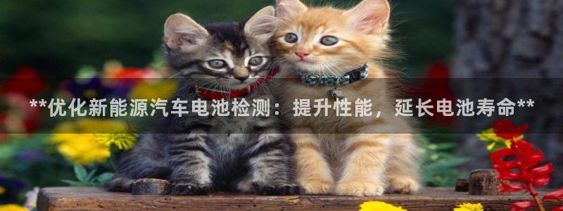 优发国际手机客户端官网