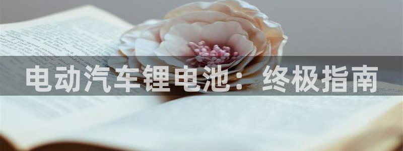优发国际网官网17w8