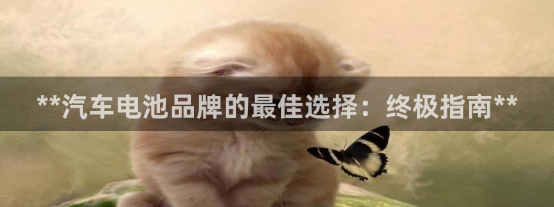 优发国际提现不了
