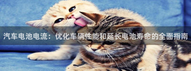 优发国际是大平台吗是真的吗