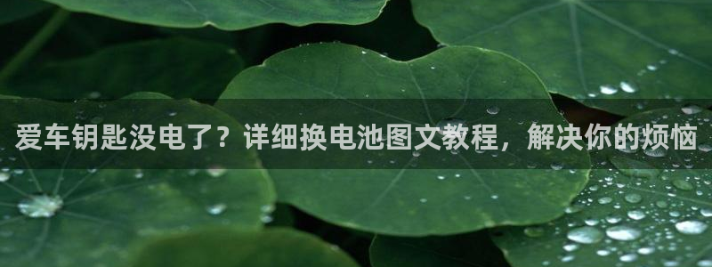 优发国际手机版