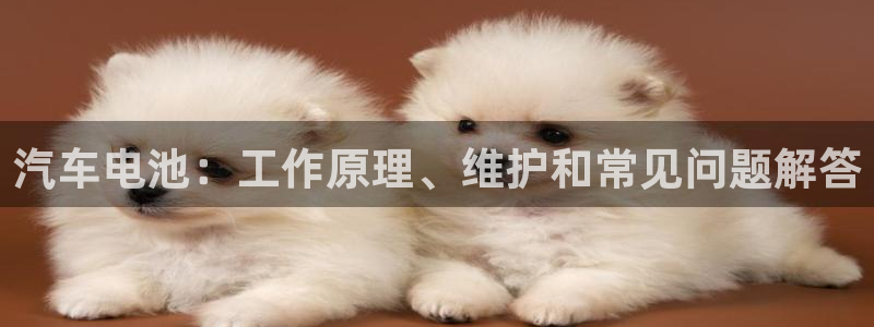 优发国际官方网手机版