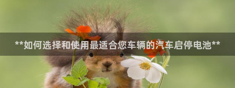 优发国际集团股份有限公司招聘