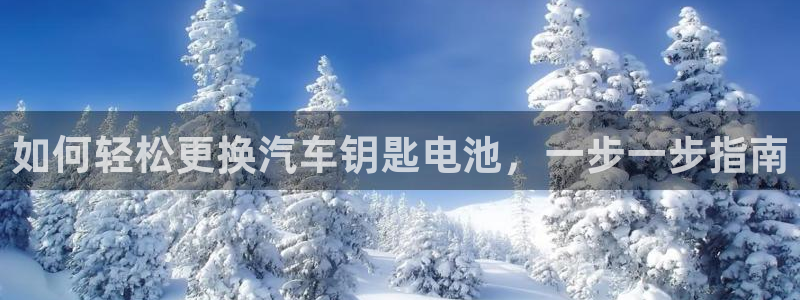 优发国际平台g80