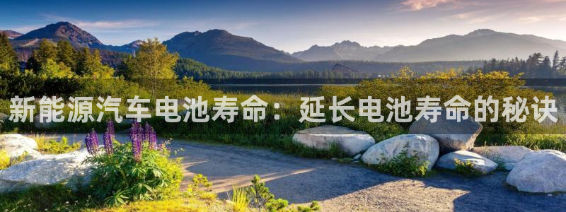 优发国际网官网17o8