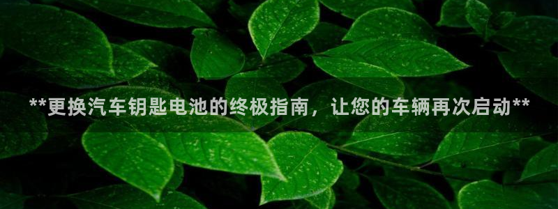 优发国际手机版网站入口