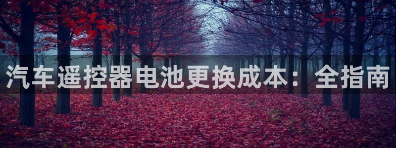 优发国际安卓版下载安装