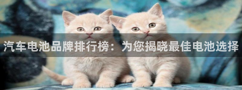 优发国际多少钱