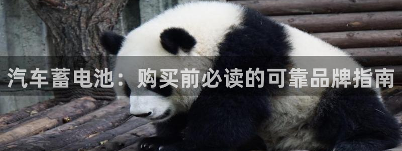 优发国际集团股份有限公司官网