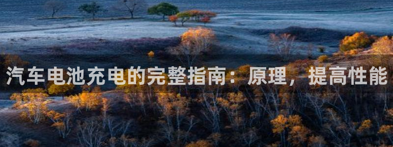 优发国际官方网手机版app