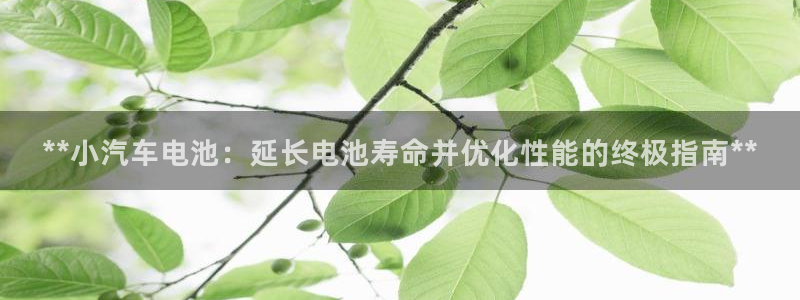 优发国际手机客户端下载安装