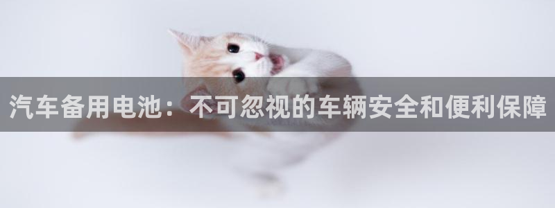 优发国际集团股份有限公司招聘