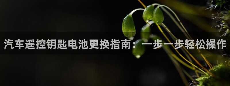 优发国际手机app下载地址