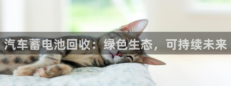优发国际安卓版下载安装苹果