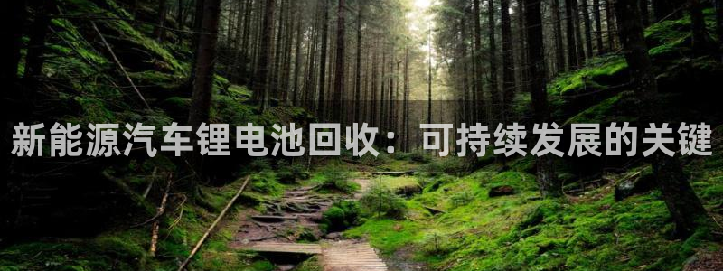 优发国际游戏17