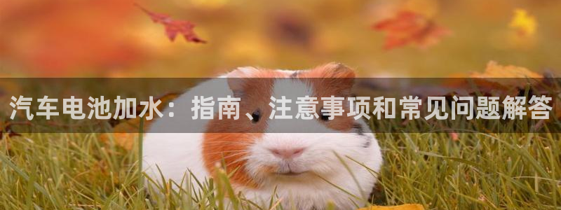 优发国际多少