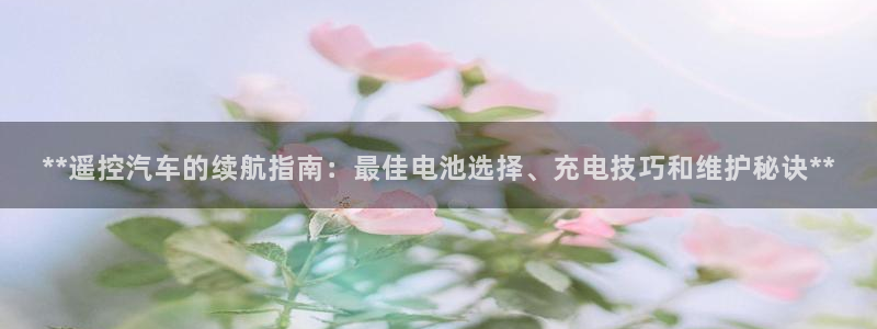 优发国际vip网址