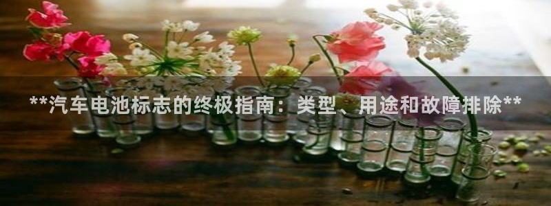优发国际安卓版下载安装