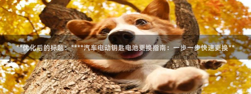 优发国际客服联系方式查询