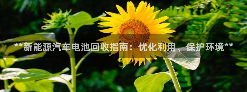 优发国际手机客户端下载：**新能源汽车电池回收指南：优化利用、保护环境**