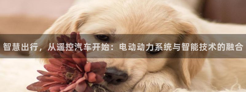 优发国际官方网平台：智慧出行，从遥控汽车开始：电动动力系统与智能技术的融合