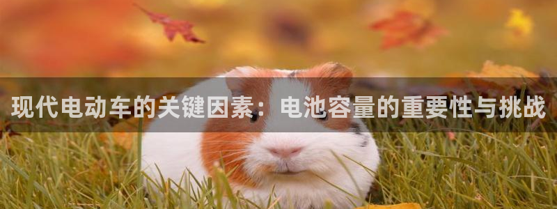 优发国际官网是多少：现代电动车的关键因素：电池容量的重要性与挑战