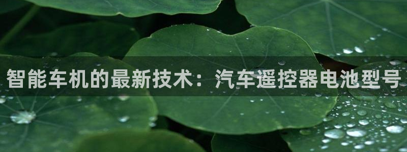 优发国际官网入口app下载苹果