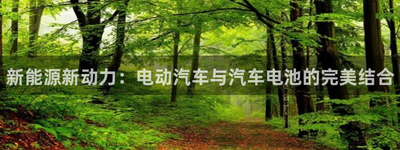 优发国际多少：新能源新动力：电动汽车与汽车电池的完美结合