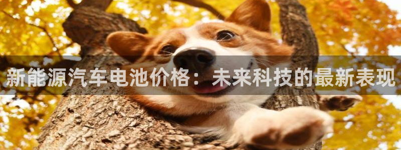 优发国际官网网站登录：新能源汽车电池价格：未来科技的最新表现