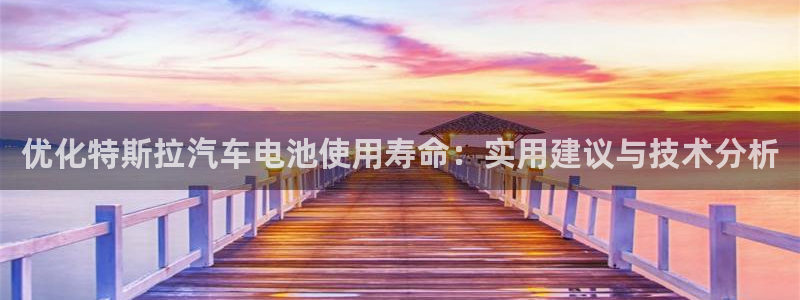 优发国际手机版：优化特斯拉汽车电池使用寿命：实用建议与技术分析