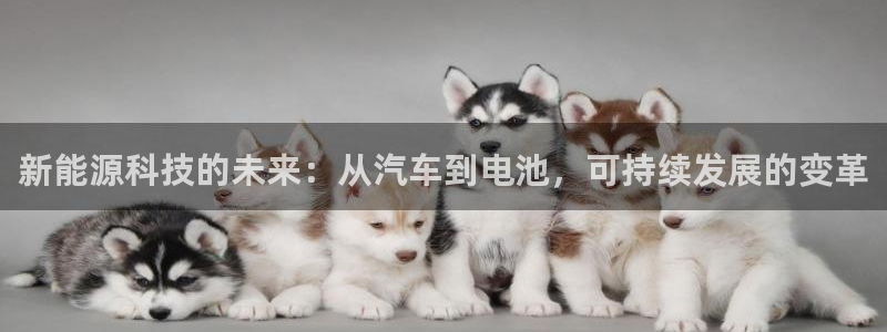 优发国际平台app下载：新能源科技的未来：从汽车到电池，可持续发展的变革