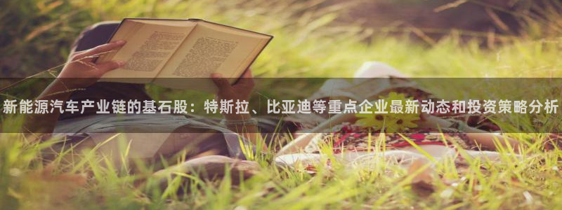 优发国际平台u8是什么：新能源汽车产业链的基石股：特斯拉、比亚迪等重点企业最新动态和投资策略分析