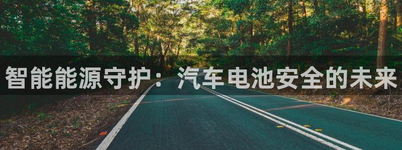 优发国际是不是黑网：智能能源守护：汽车电池安全的未来