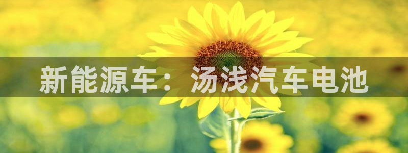优发国际这个平台怎么样知乎