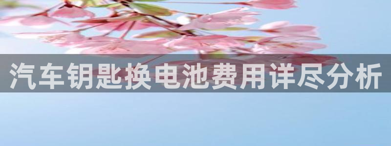 优发国际免费游戏下载：汽车钥匙换电池费用详尽分析