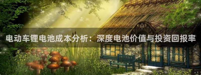 优发国际游戏官方网站入口：电动车锂电池成本分析：深度电池价值与投资回报率