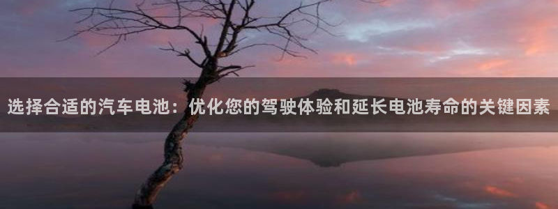 优发国际平台u8是什么公司：选择合适的汽车电池：优化您的驾驶体验和延长电池寿命的关键因素
