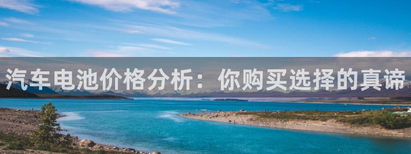 优发国际官网网站：汽车电池价格分析：你购买选择的真谛