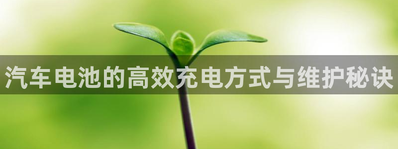 优发国际app：汽车电池的高效充电方式与维护秘诀