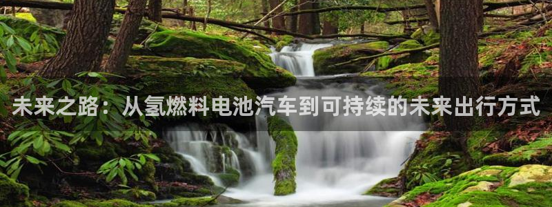 优发国际手机版官网下载：未来之路：从氢燃料电池汽车到可持续的未来出行方式