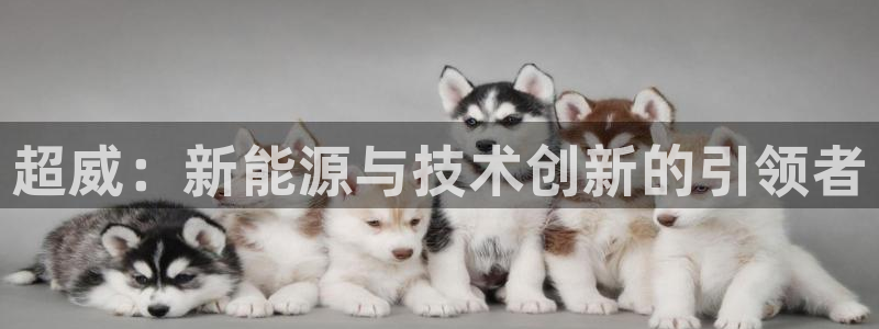 优发国际首页app：超威：新能源与技术创新的引领者