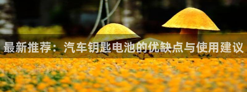 优发娱乐国际线上营业时间：最新推荐：汽车钥匙电池的优缺点与使用建议