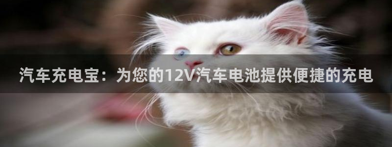 优发国际网官网17o8：汽车充电宝：为您的12V汽车电池提供便捷的充电