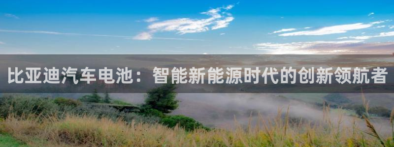 优发国际是真的吗：比亚迪汽车电池：智能新能源时代的创新领航者