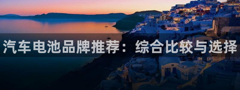 优发国际官网下载安装苹果：汽车电池品牌推荐：综合比较与选择