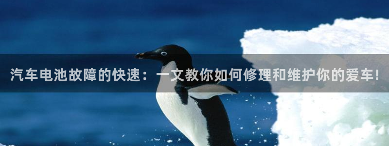 优发国际网官