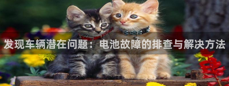 优发国际手机客户端下载官网：发现车辆潜在问题：电池故障的排查与解决方法