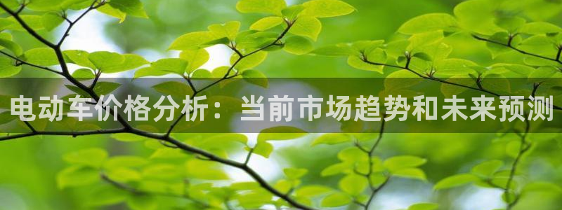 优发国际集团股份有限公司招聘