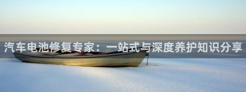 优发国际平台u8是什么软件：汽车电池修复专家：一站式与深度养护知识分享