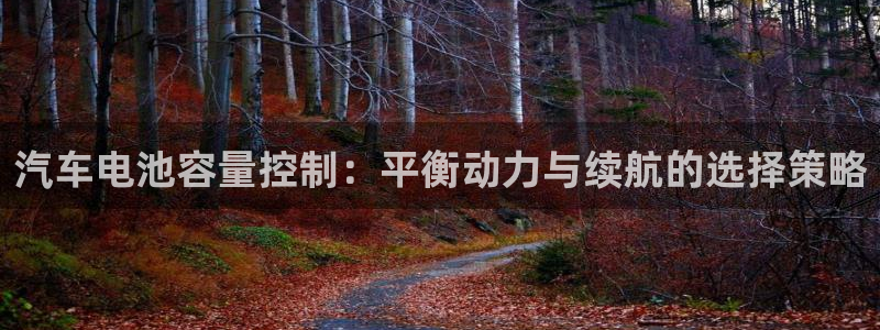 优发国际youfa966